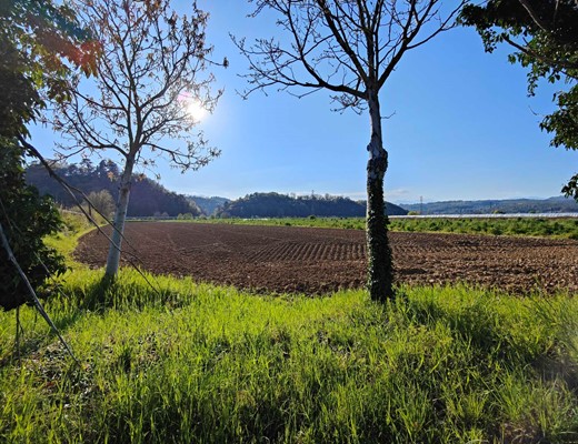 terreno in VENDITA a Vicenza 